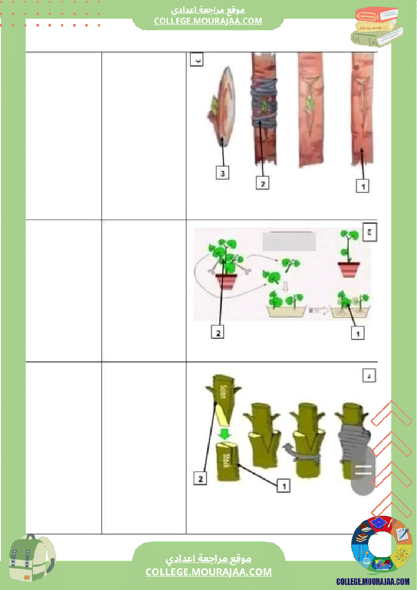 الثامنة أساسي مجموعة فروض عدد 2 تاليفية في علوم الحياة و الأرض
