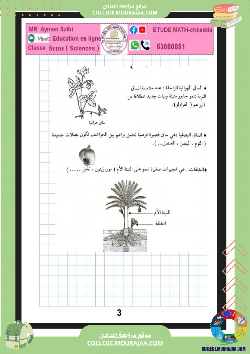 علوم الحياة و الأرض الثامنة أساسي التغذية الكربونية التكاثر الخضري عند النبات الزهري