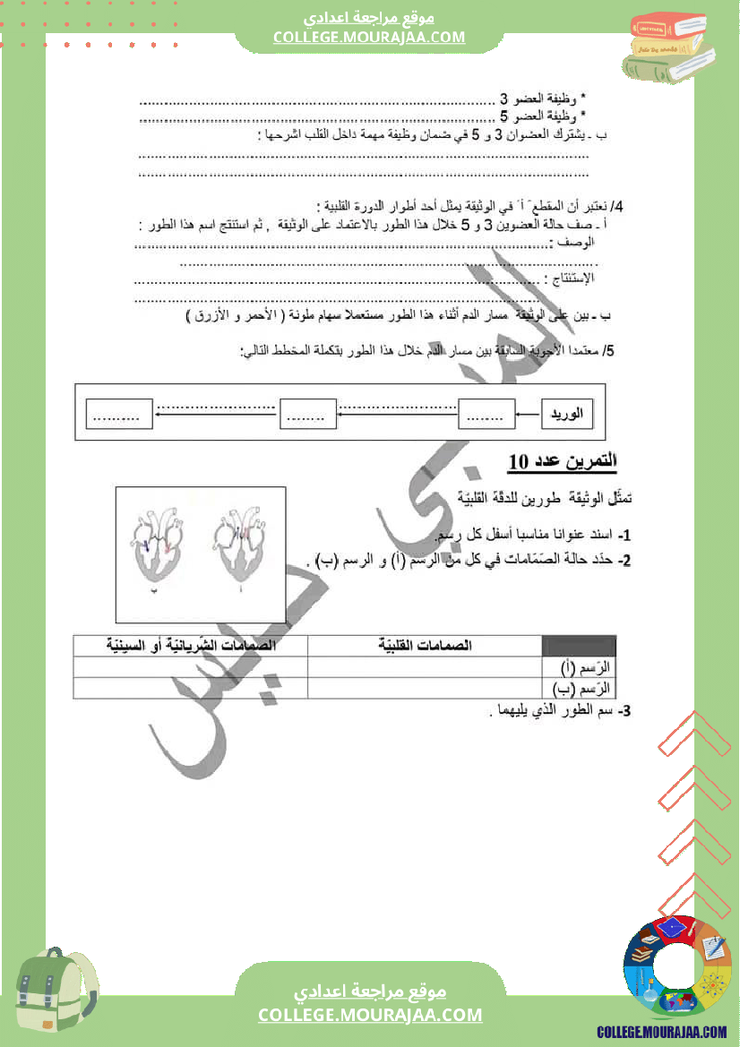 القلب والدوران للسنة التاسعة