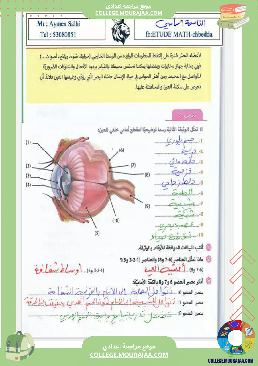 تاسعة_نموذجي_علوم_الحياة_و_الارض