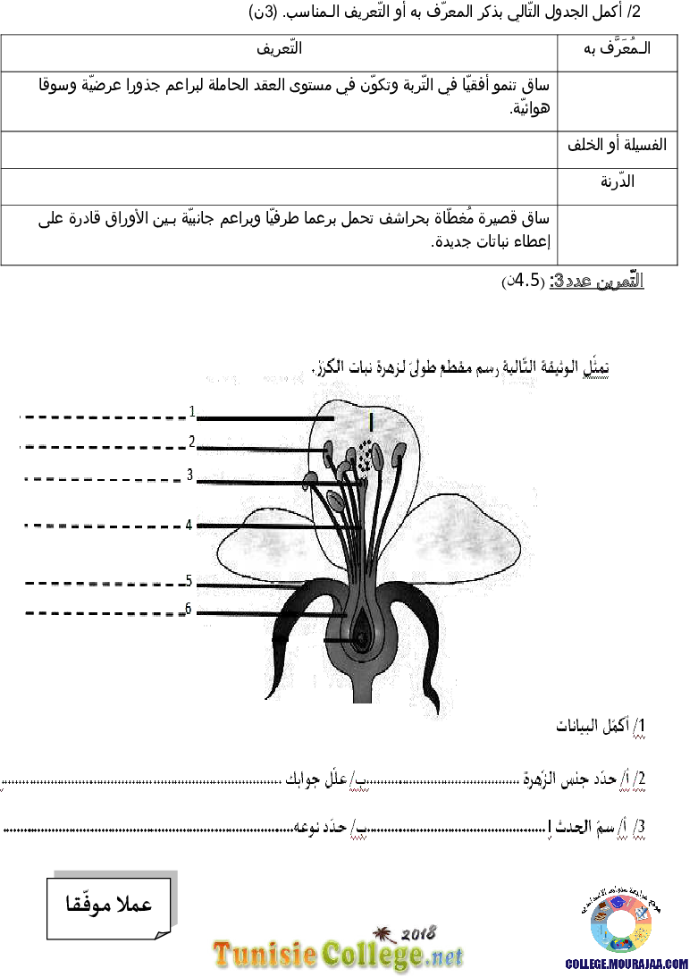 فرض_مراقبة_سنة_الثامنة_في_العلوم_الفيزيائية_الثلاثي_الثاني49