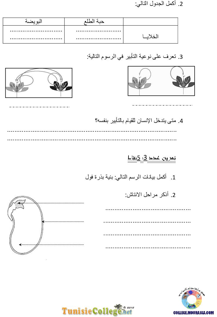 فرض تأليفي سنة الثامنة في علوم الحياة و الارض الثلاثي الثاني