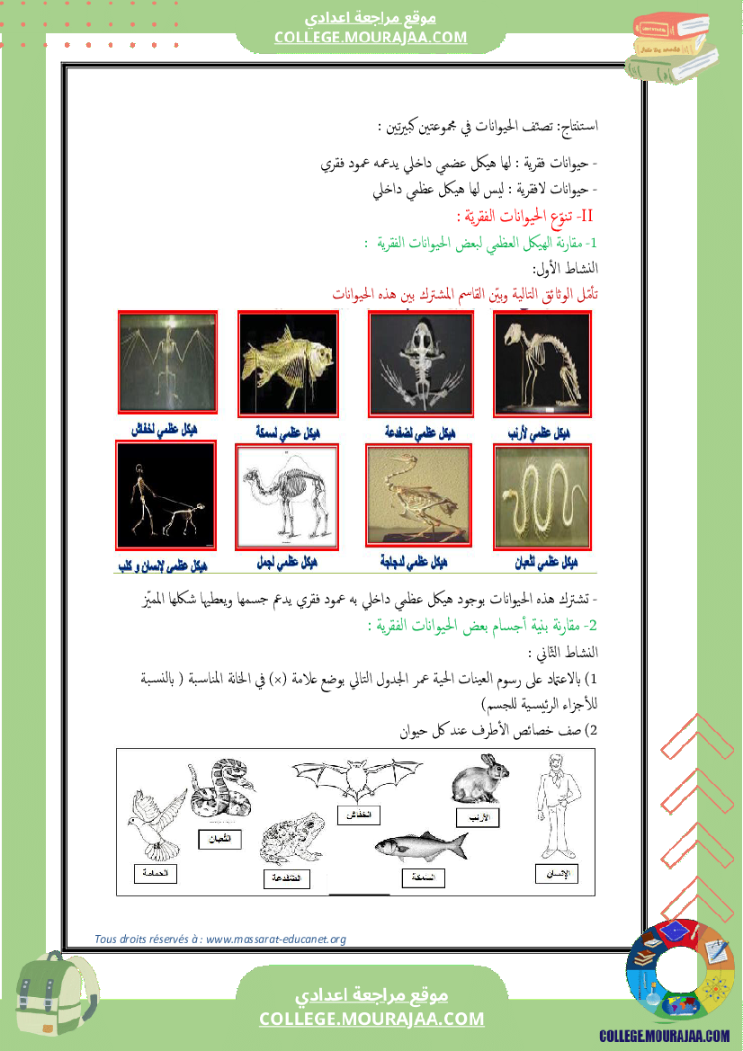 تنوّع الحيوانات الفقريّة وتصنيفها 7 أساسي