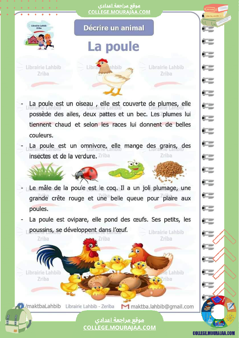 decrire_un_animal_7_eme