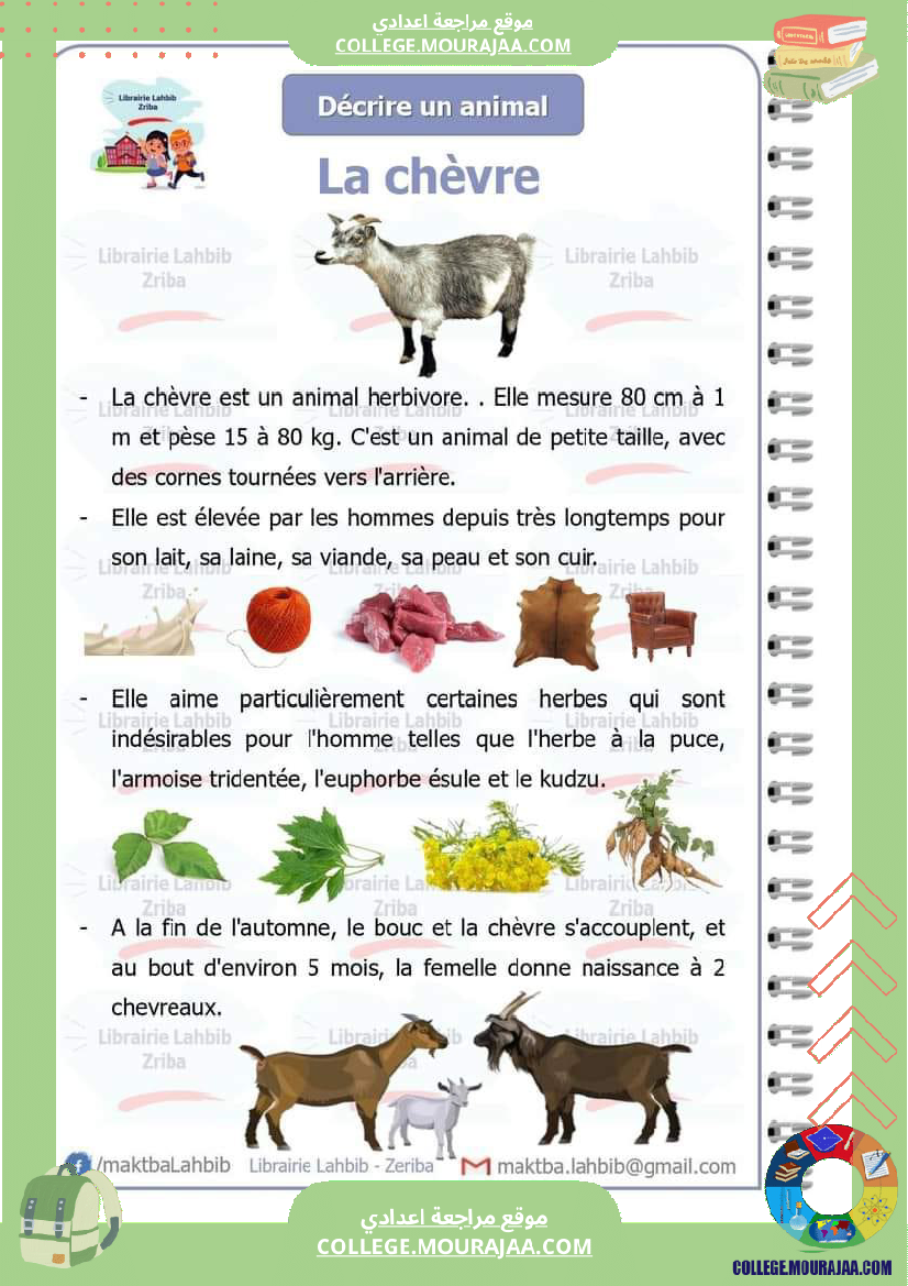decrire_un_animal_7_eme