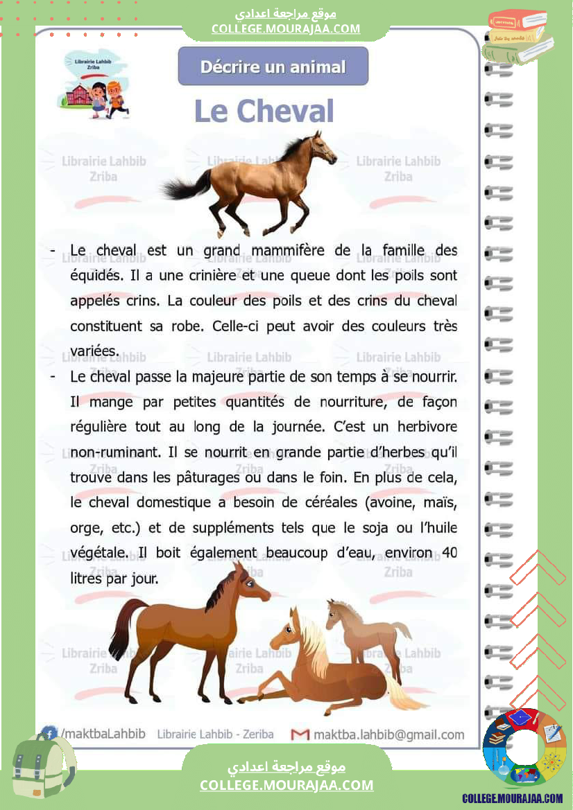 decrire_un_animal_7_eme