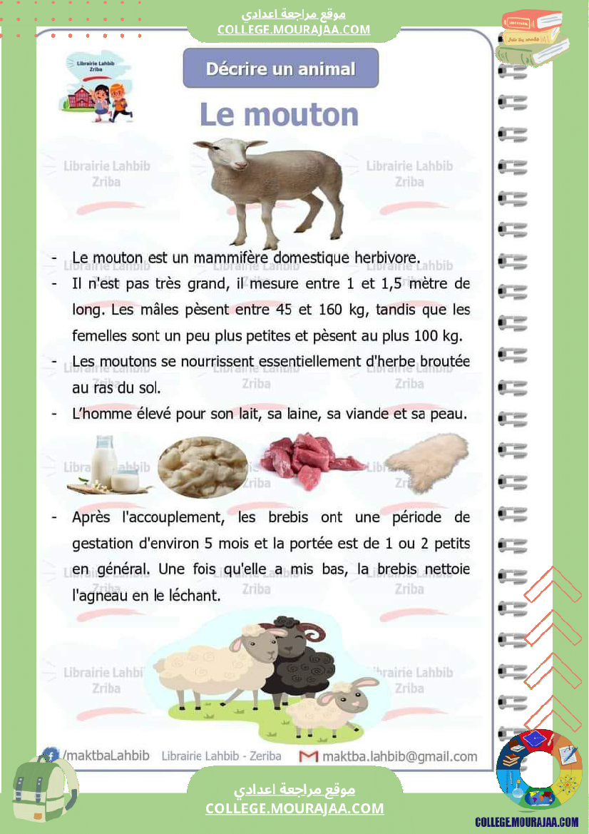 decrire_un_animal_7_eme