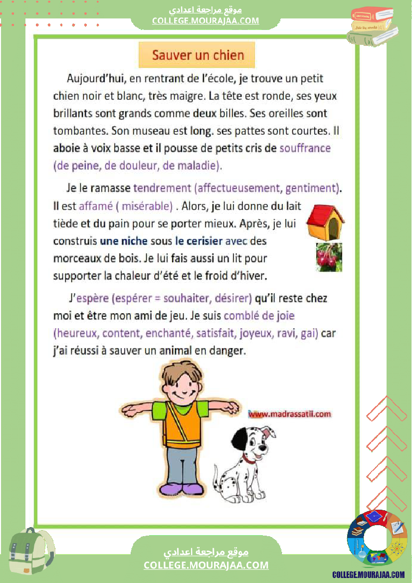expression_ecrite_7_eme_decrire_et_sauver_un_animal
