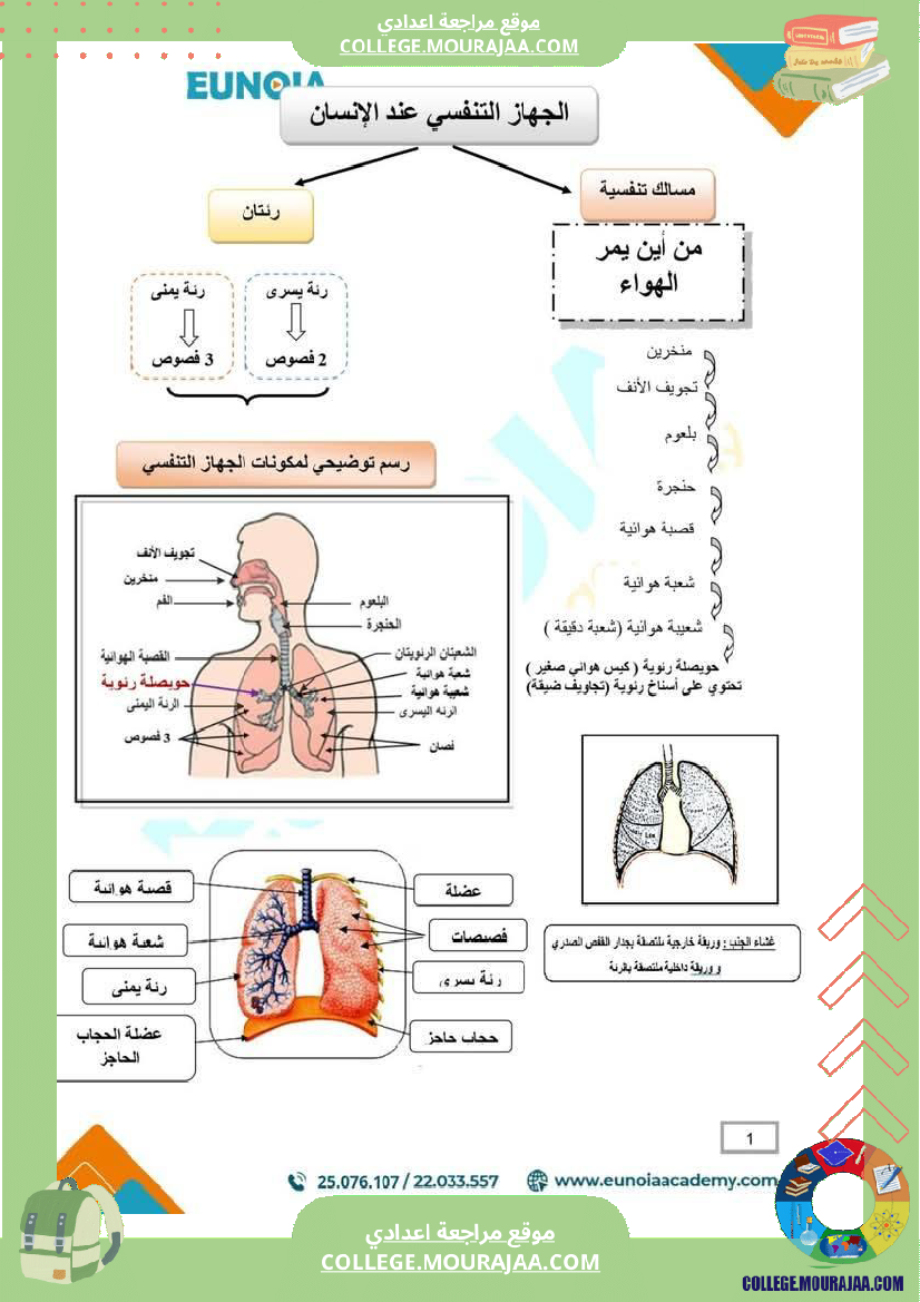 ملخص درس التنفس علوم الحياة والأرض السنة التاسعة