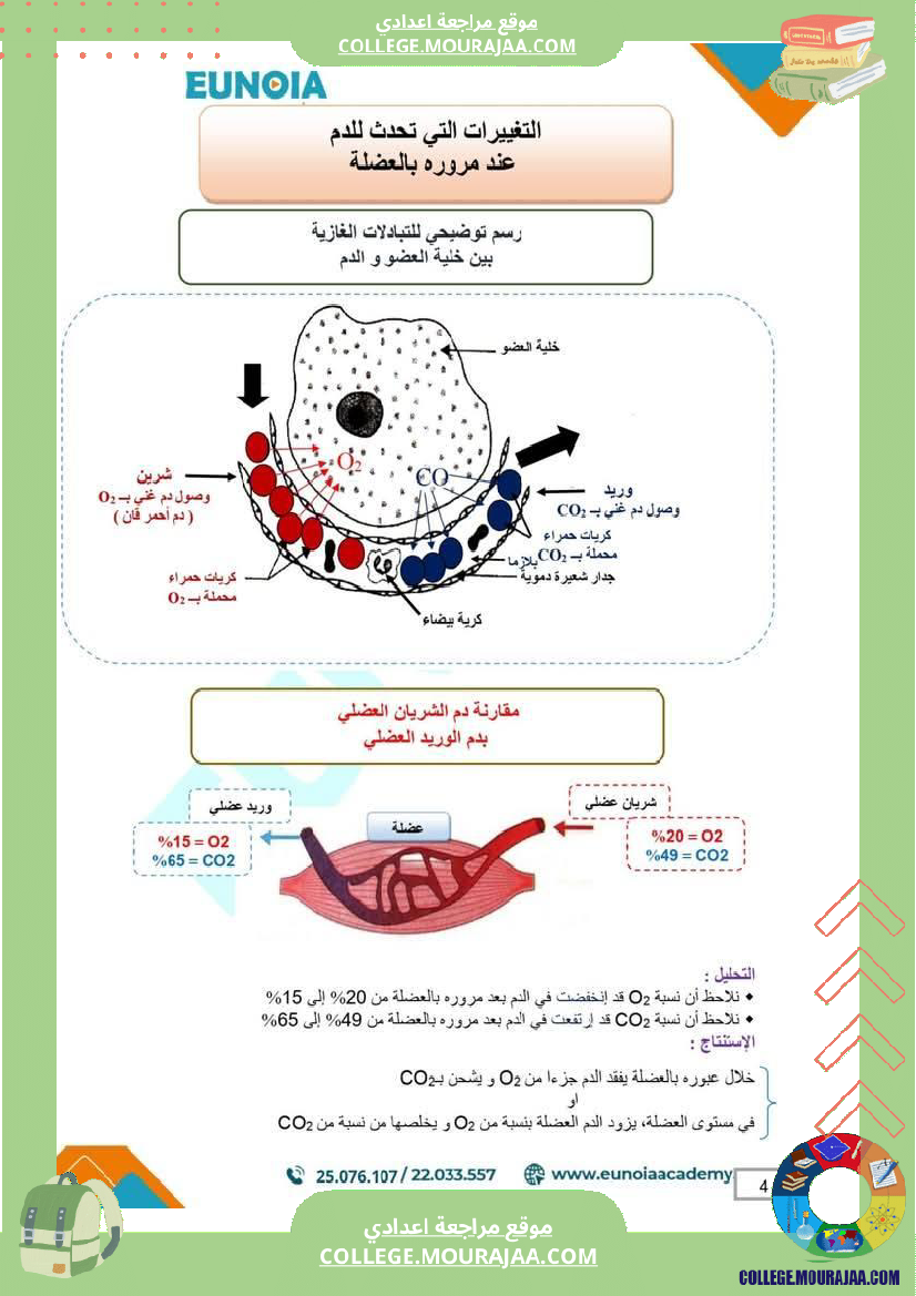 ملخص درس التنفس علوم الحياة والأرض السنة التاسعة