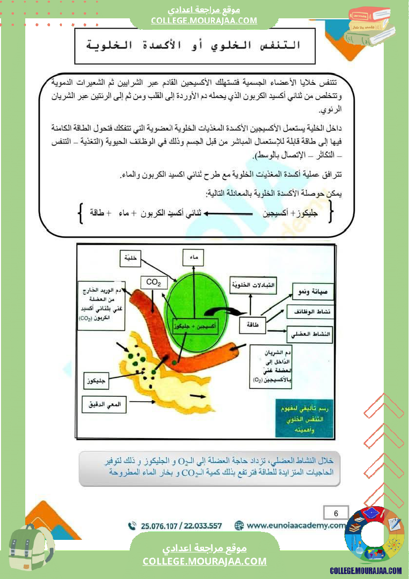ملخص درس التنفس علوم الحياة والأرض السنة التاسعة