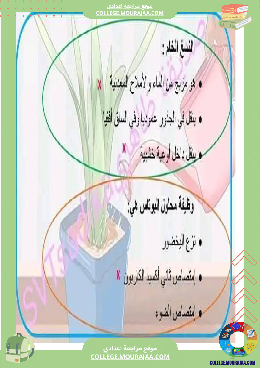 ثامنة_أساسي_علوم_طبيعية_فرض_تأليفي_عدد_1_بالاصلاح