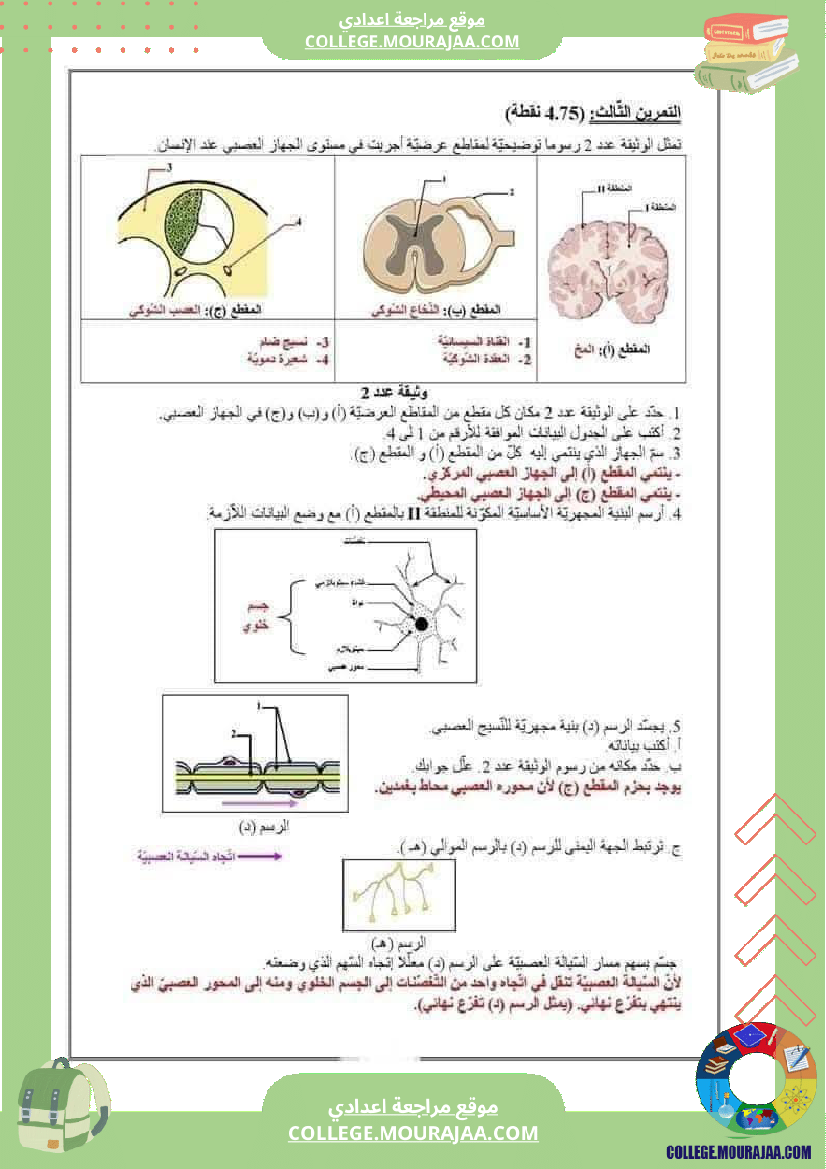 تاسعة_أساسي_علوم_طبيعية_فرض_تأليفي_عدد_1_بالاصلاح