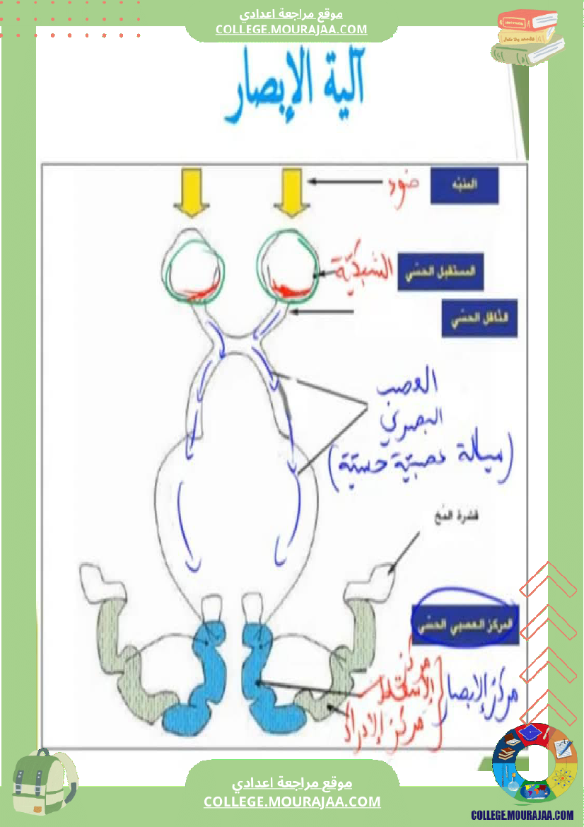 تلخيص مادة علوم الحياة والأرض للسنوات التاسعة محور بالعين