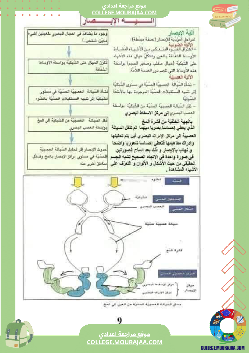 تلخيص_مادة_علوم_الحياة_والأرض_للسنوات_التاسعة_محور_بالعين
