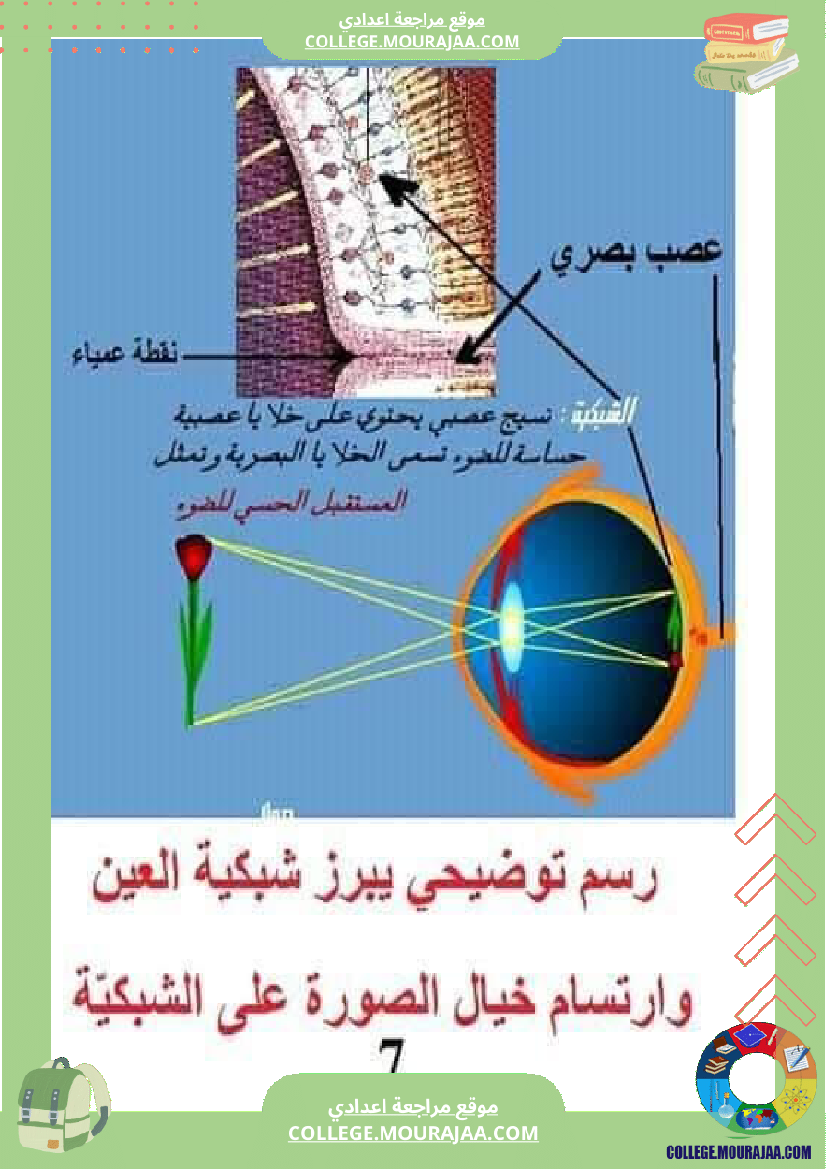 تلخيص_مادة_علوم_الحياة_والأرض_للسنوات_التاسعة_محور_بالعين