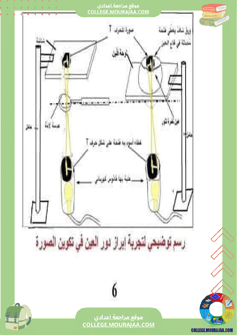 تلخيص_مادة_علوم_الحياة_والأرض_للسنوات_التاسعة_محور_بالعين