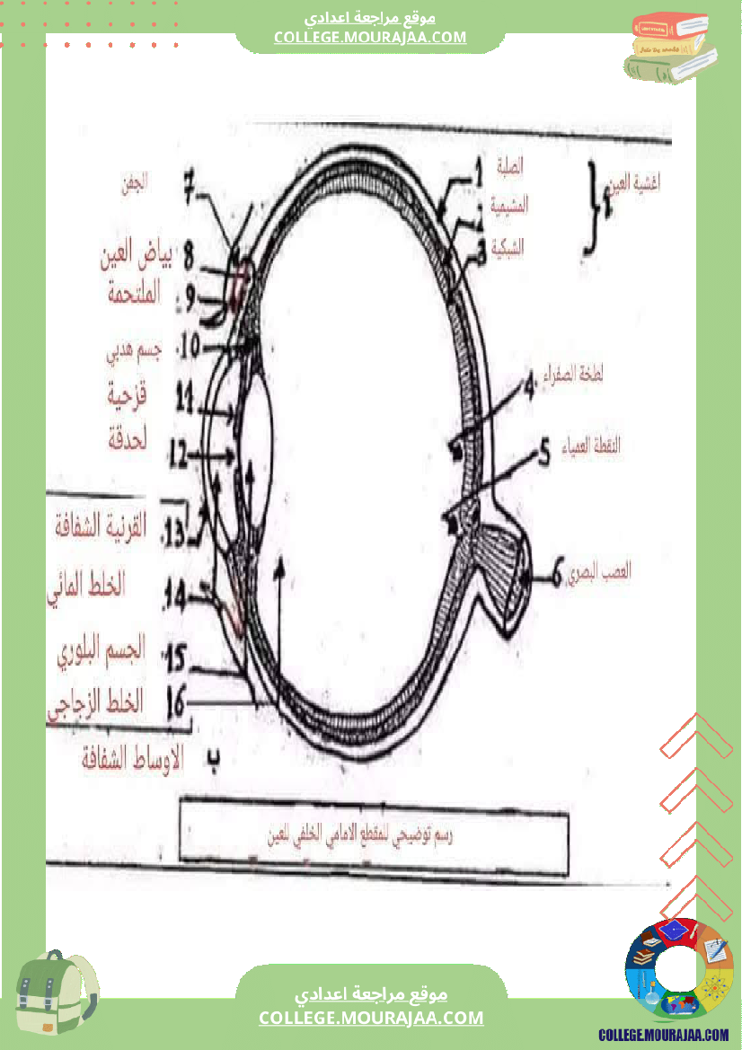 تلخيص_مادة_علوم_الحياة_والأرض_للسنوات_التاسعة_محور_بالعين