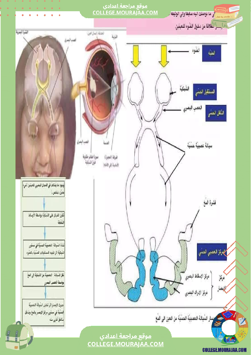 تلخيص_مادة_علوم_الحياة_والأرض_للسنوات_التاسعة_محور_بالعين