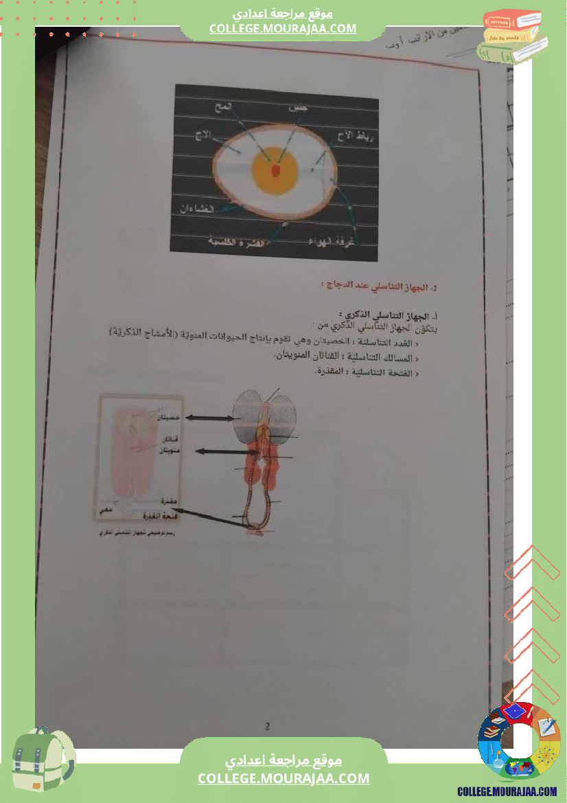 تلخيص_دروس_علوم_الحياة_والأرض_سنة_ثامنة_اساسي