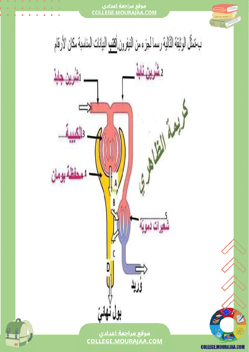 فرض مراقبة خاص بالسنة التاسعة علوم الحياة و الارض الثلاثي الثالث