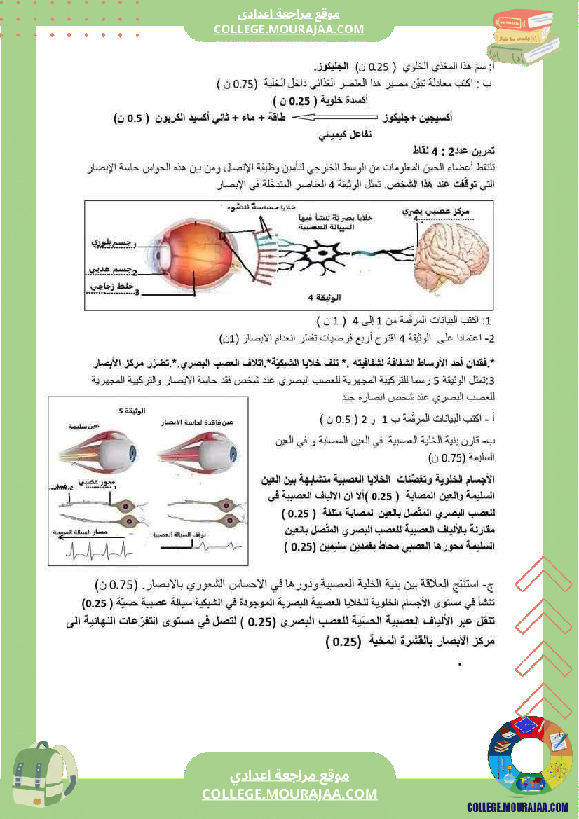 فرض_تأليفي_التاسعة_في_علوم_الحياة_و_الارض_ثلاثي_3