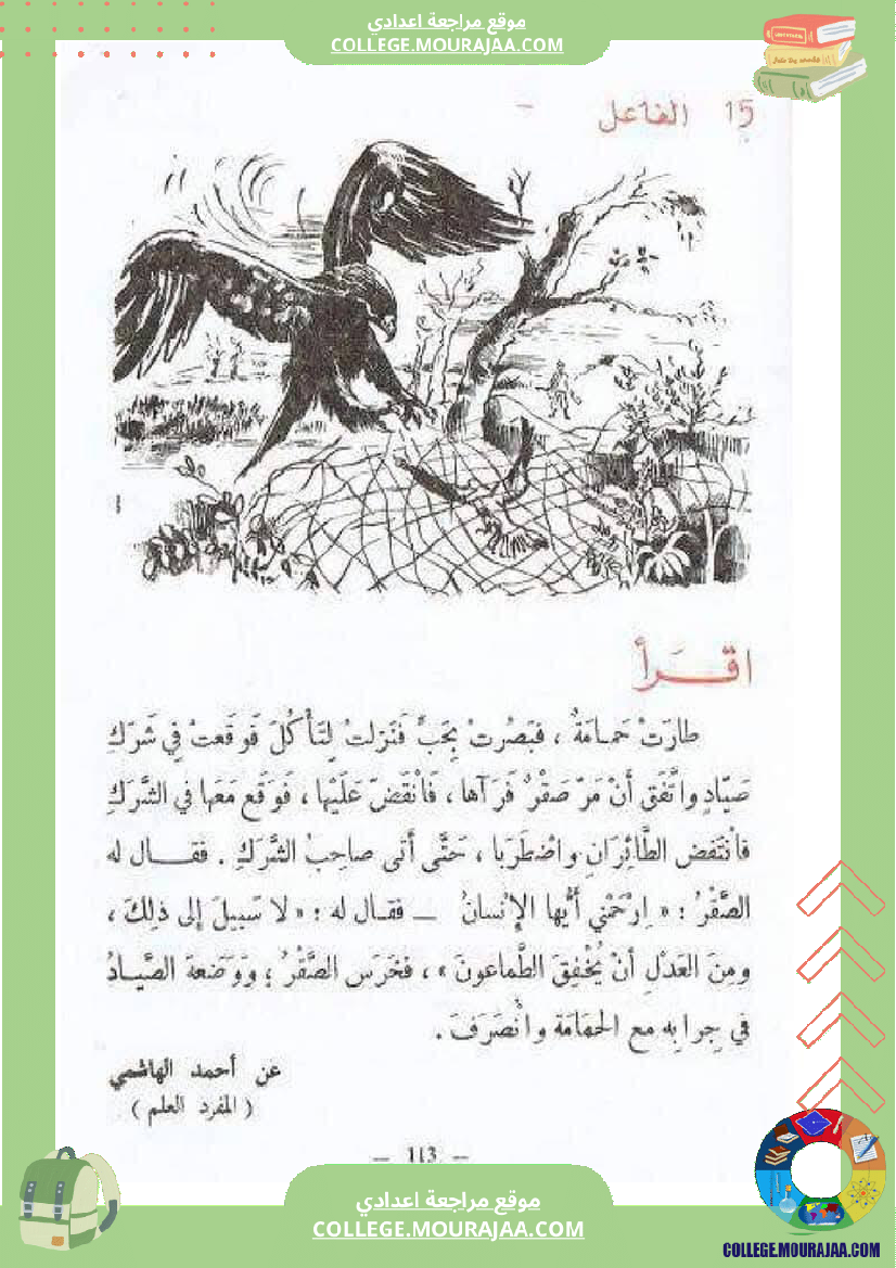 النحو العربي للغة العربية و الريشة