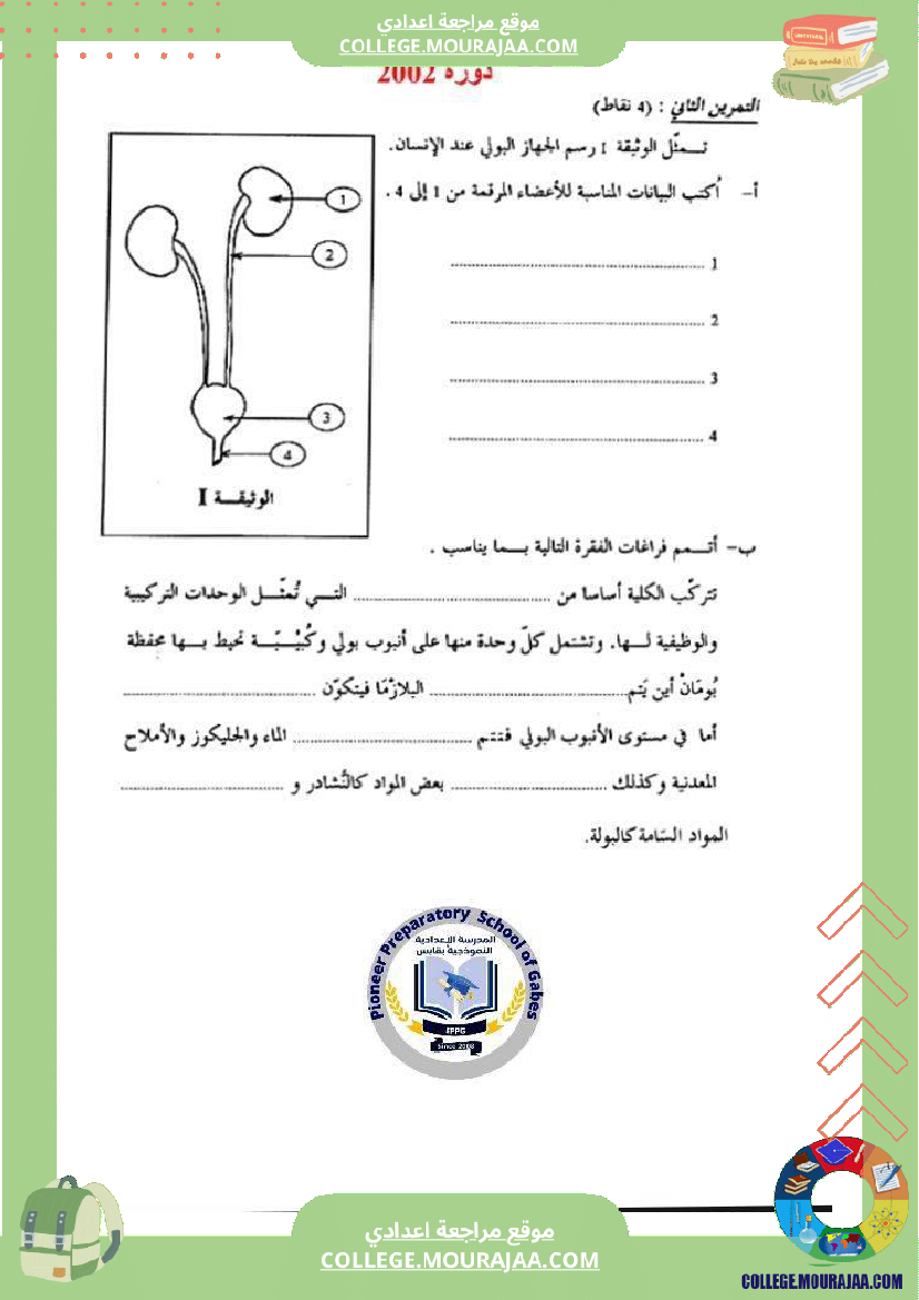 الإخراج_البولي_في_برنامج_السنوات_التاسعة