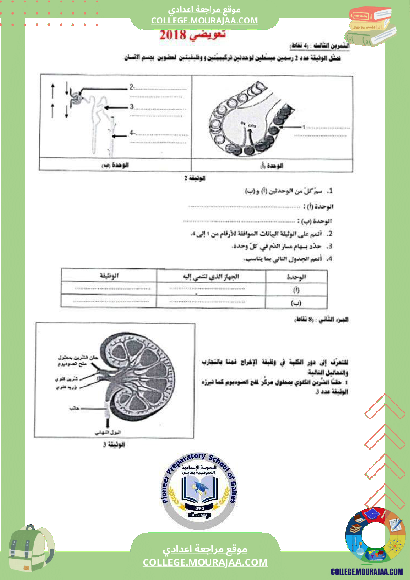 الإخراج_البولي_في_برنامج_السنوات_التاسعة