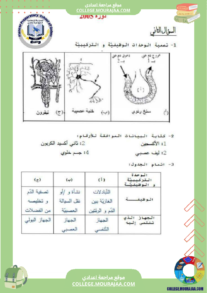 الإخراج_البولي_في_برنامج_السنوات_التاسعة