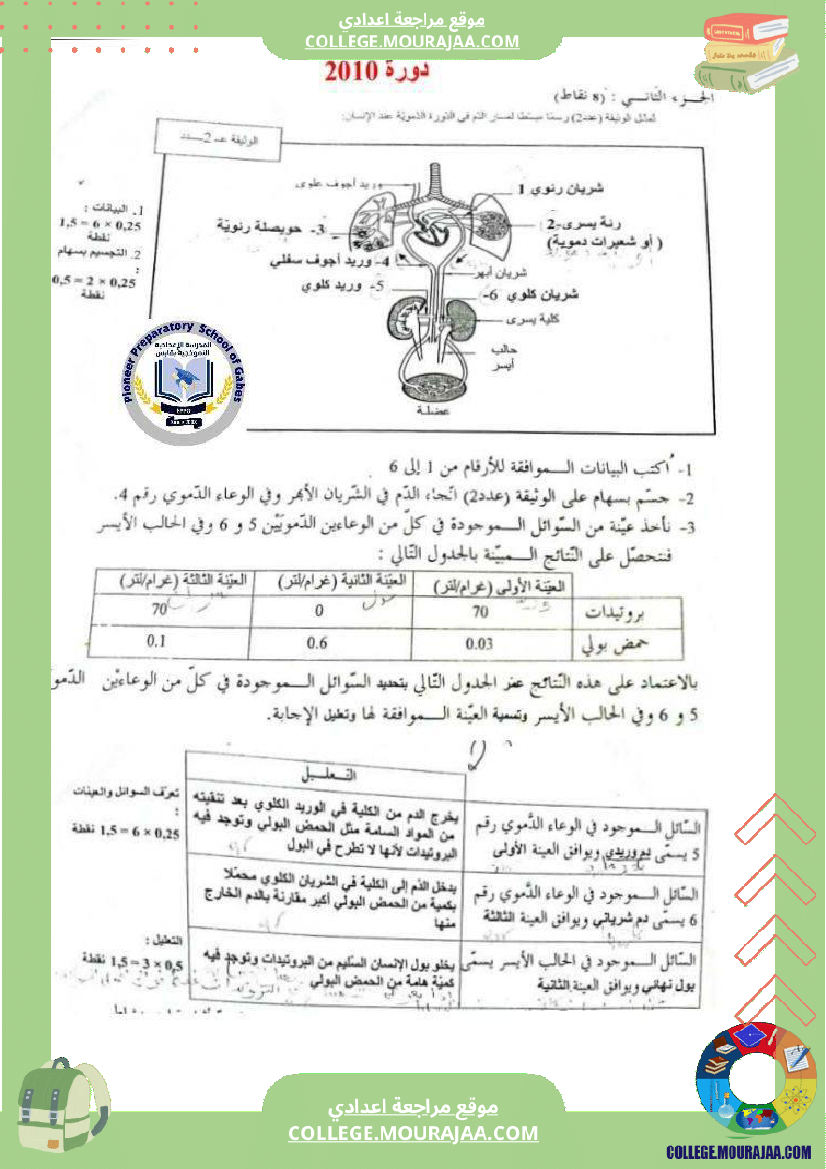 الإخراج_البولي_في_برنامج_السنوات_التاسعة