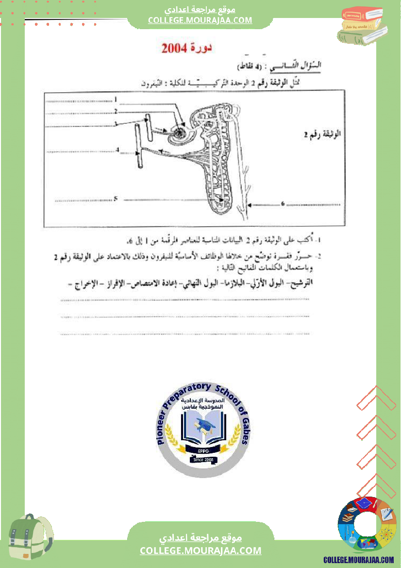 الإخراج_البولي_في_برنامج_السنوات_التاسعة