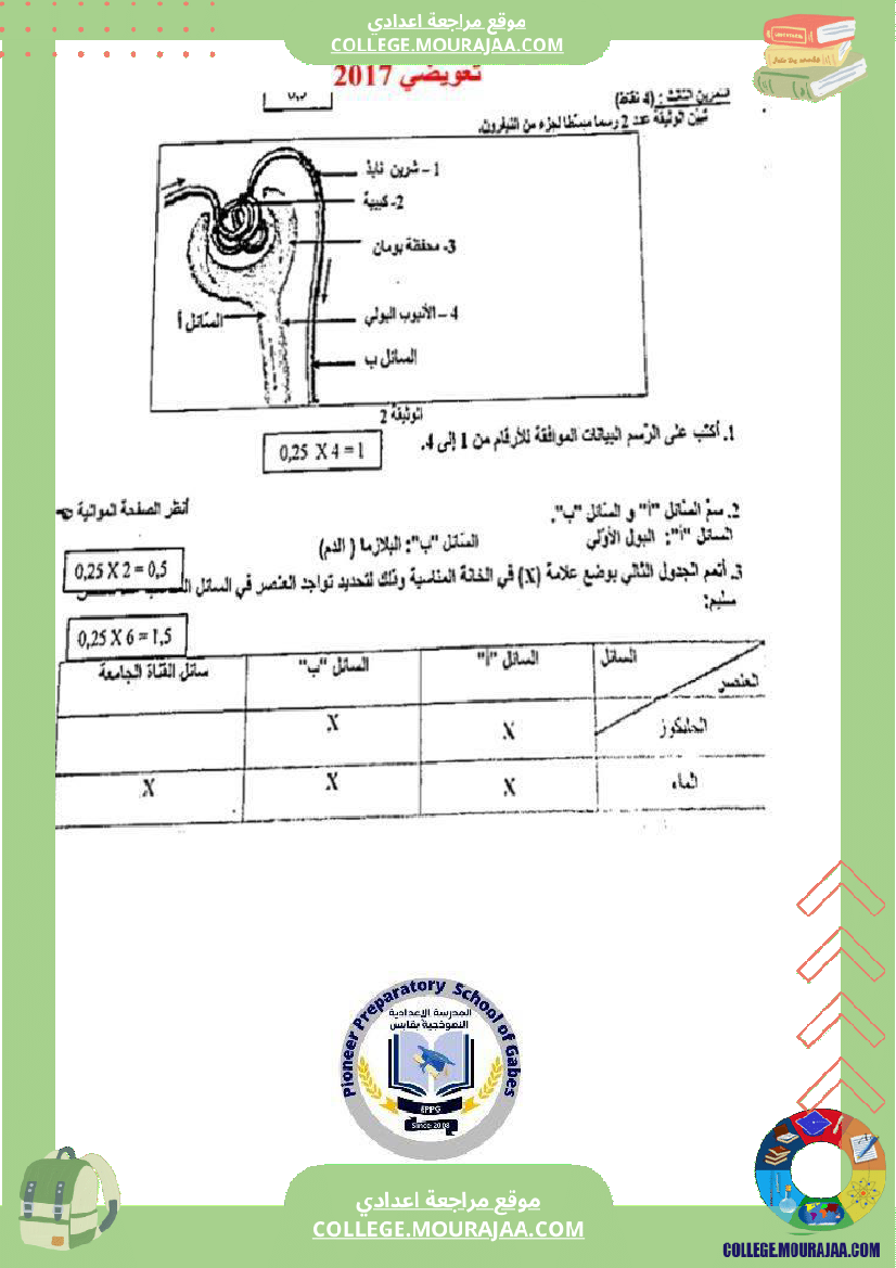 الإخراج_البولي_في_برنامج_السنوات_التاسعة