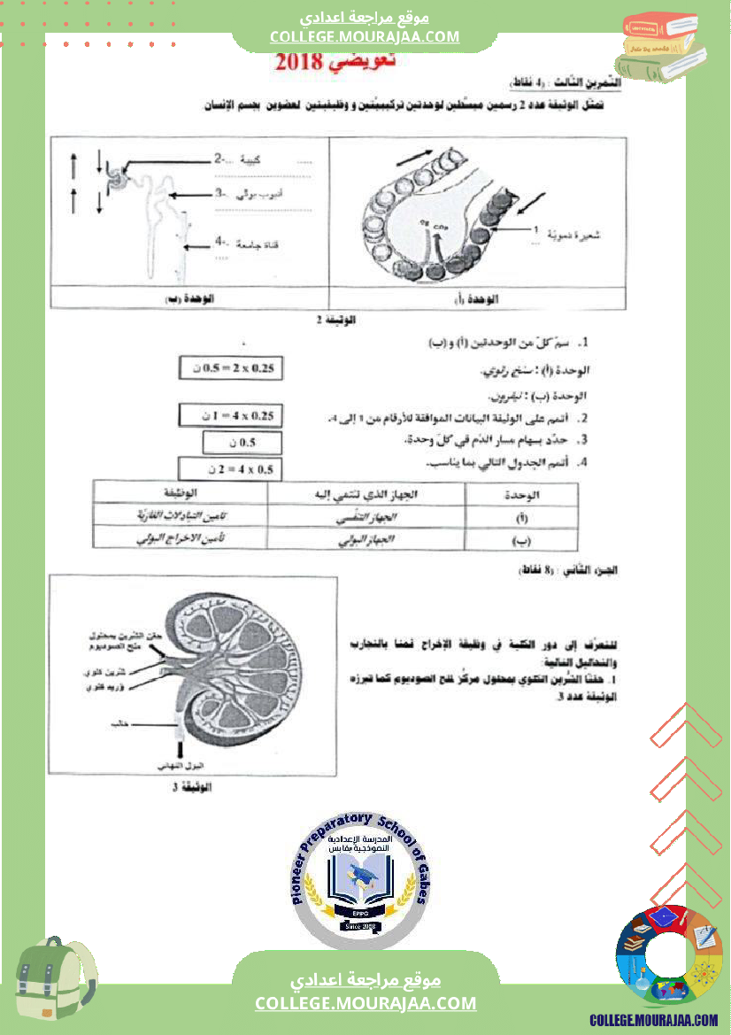 الإخراج_البولي_في_برنامج_السنوات_التاسعة