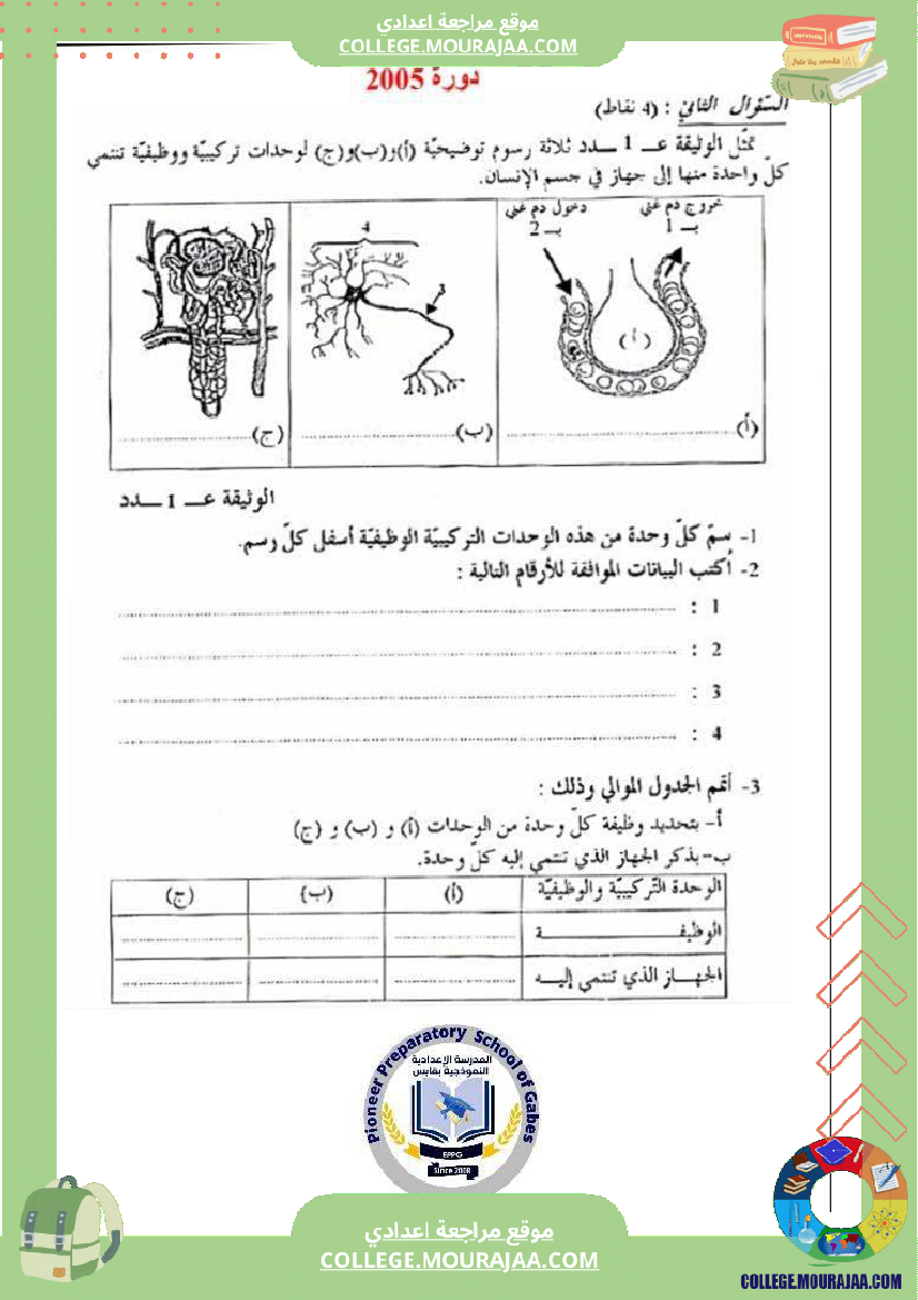 الإخراج_البولي_في_برنامج_السنوات_التاسعة