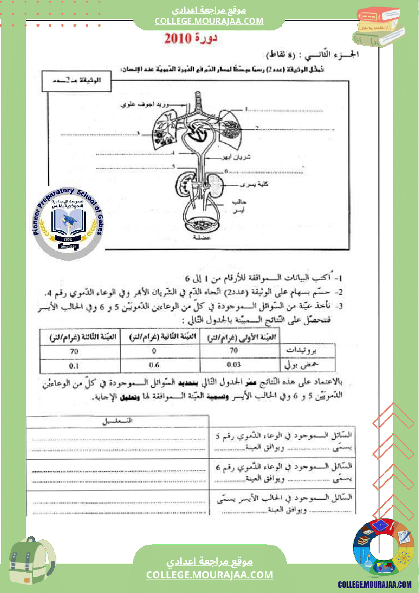 الإخراج_البولي_في_برنامج_السنوات_التاسعة