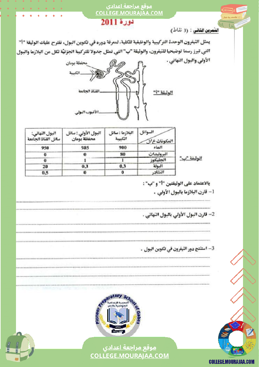 الإخراج_البولي_في_برنامج_السنوات_التاسعة