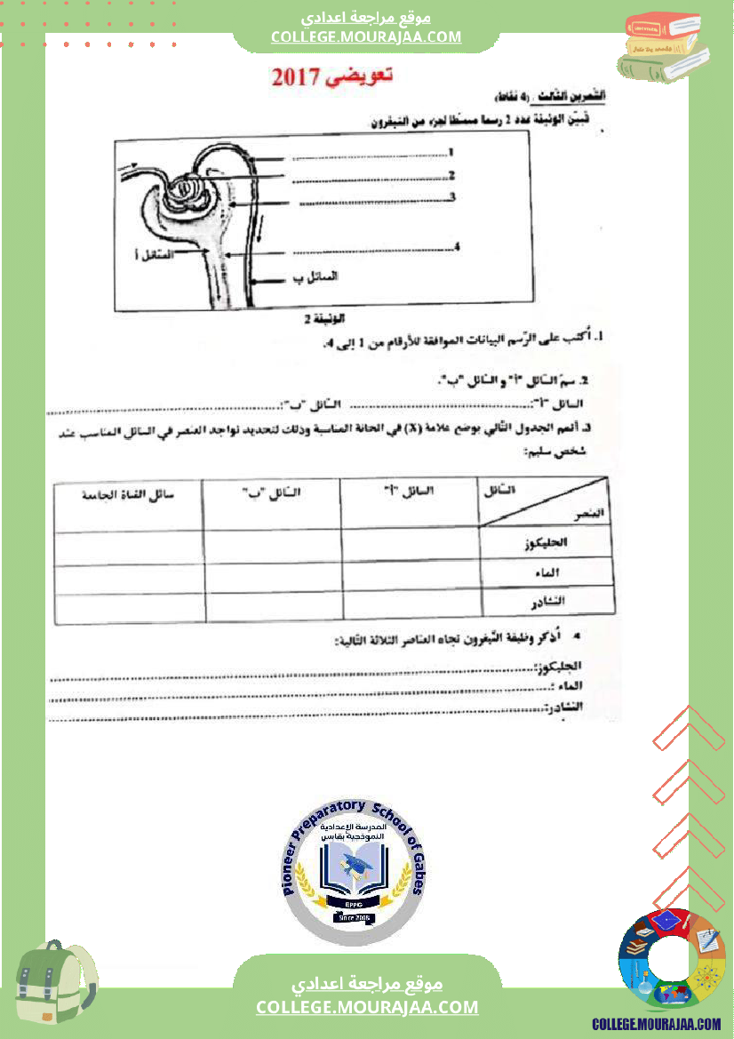الإخراج_البولي_في_برنامج_السنوات_التاسعة