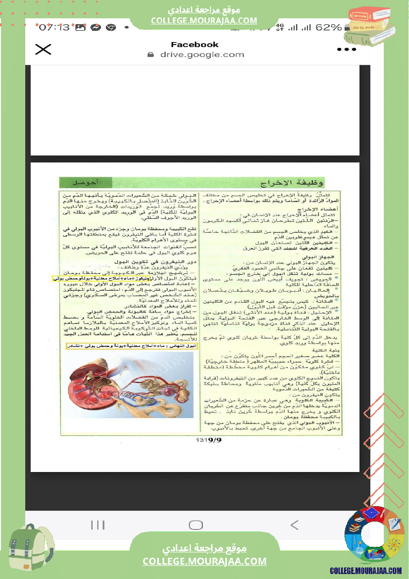 السنة التاسعة وظيفة الإخراج