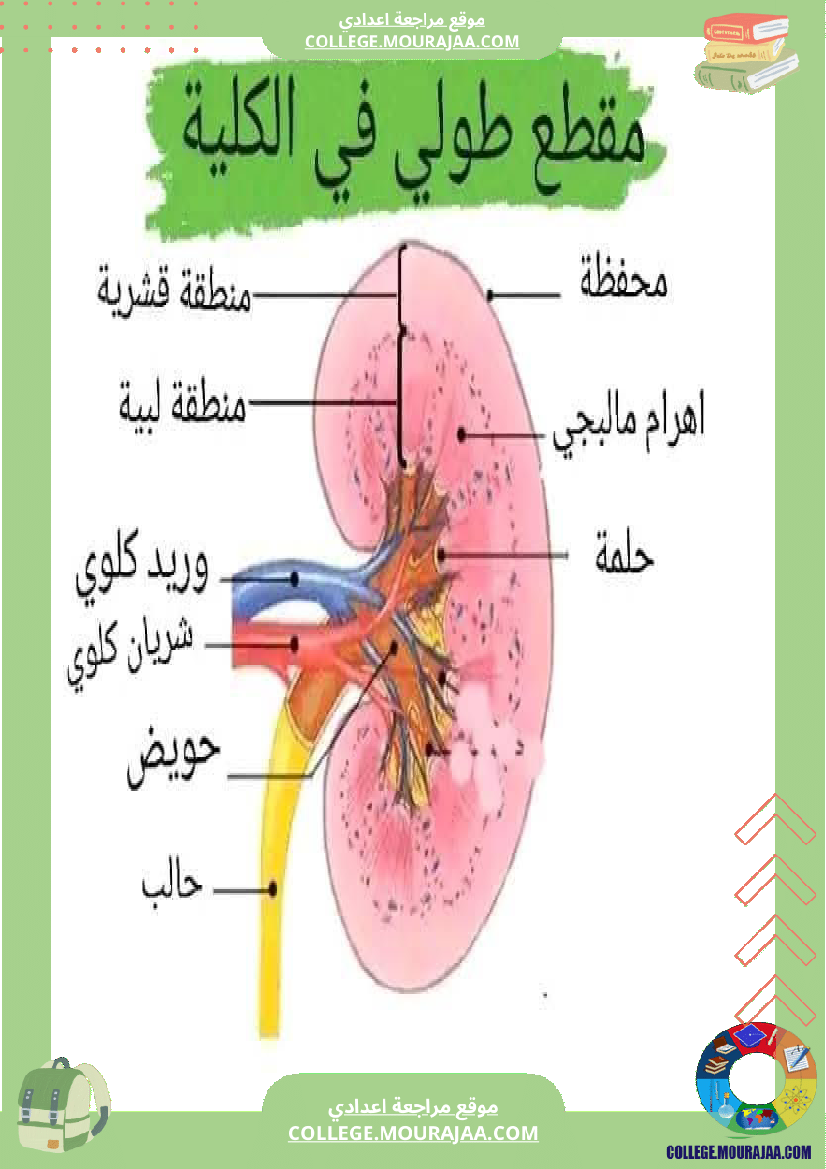 تاسعة_اساسي_علوم_الحياة_و_الارض