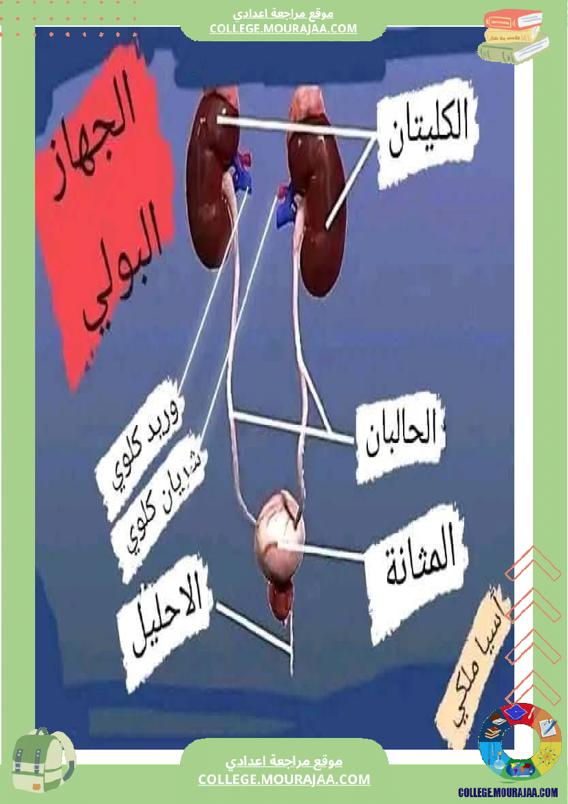 تاسعة_اساسي_علوم_الحياة_و_الارض
