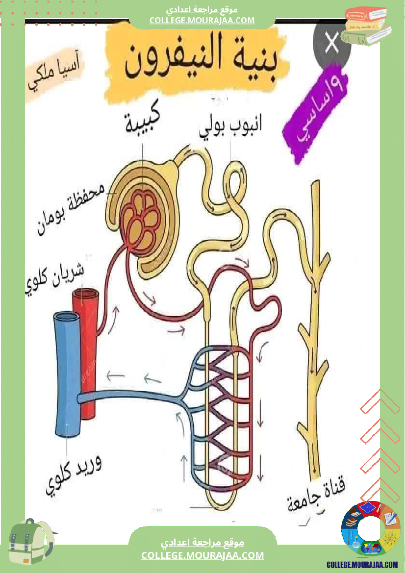 تاسعة_اساسي_علوم_الحياة_و_الارض