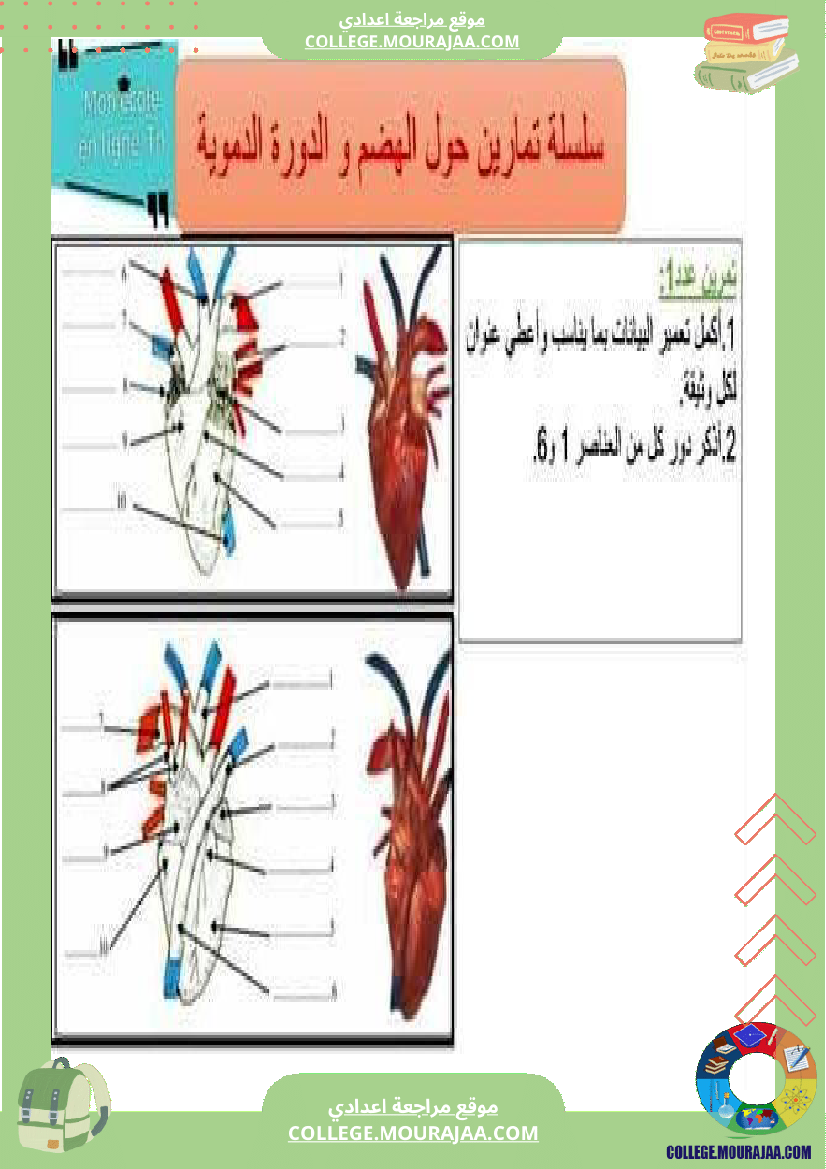 تمارين علوم الحياة والأرض للسنوات التاسعة أساسي مرفقة بالإصلاح