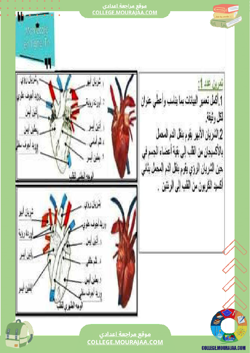 تمارين_علوم_الحياة_والأرض_للسنوات_التاسعة_أساسي_مرفقة_بالإصلاح