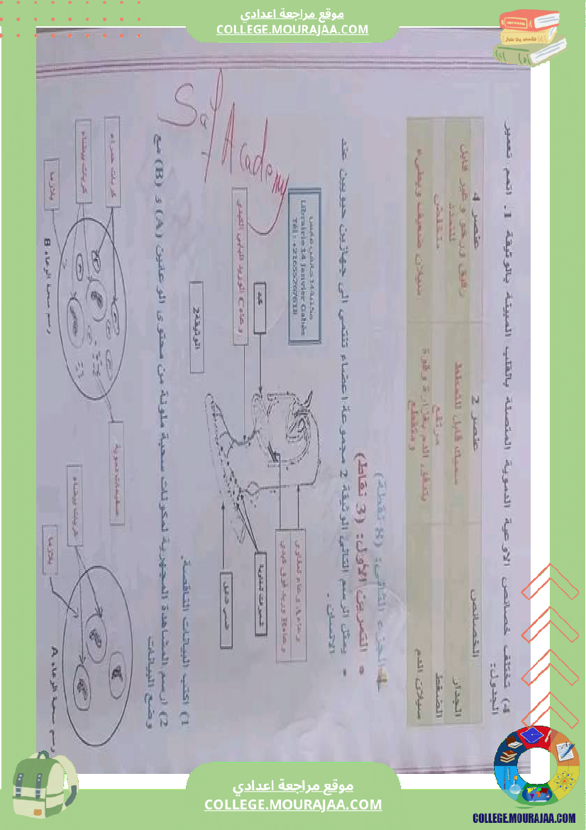 علوم_حياة_والأرض_تاسعة_مراجعة__في_التأليفي_وفي_المناظرة
