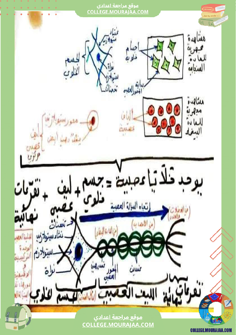 وثائق_علوم_الحياة_و_الأرض_للسنوات_9_نموذجي