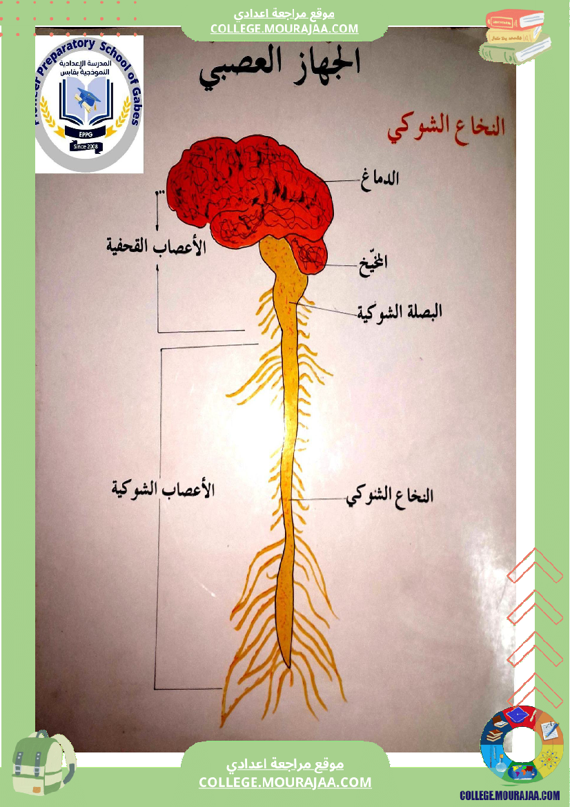وثائق_علوم_الحياة_والأرض_للسنوات_التاسعة_أساسي_تتعلق_بالجهاز_العصبي