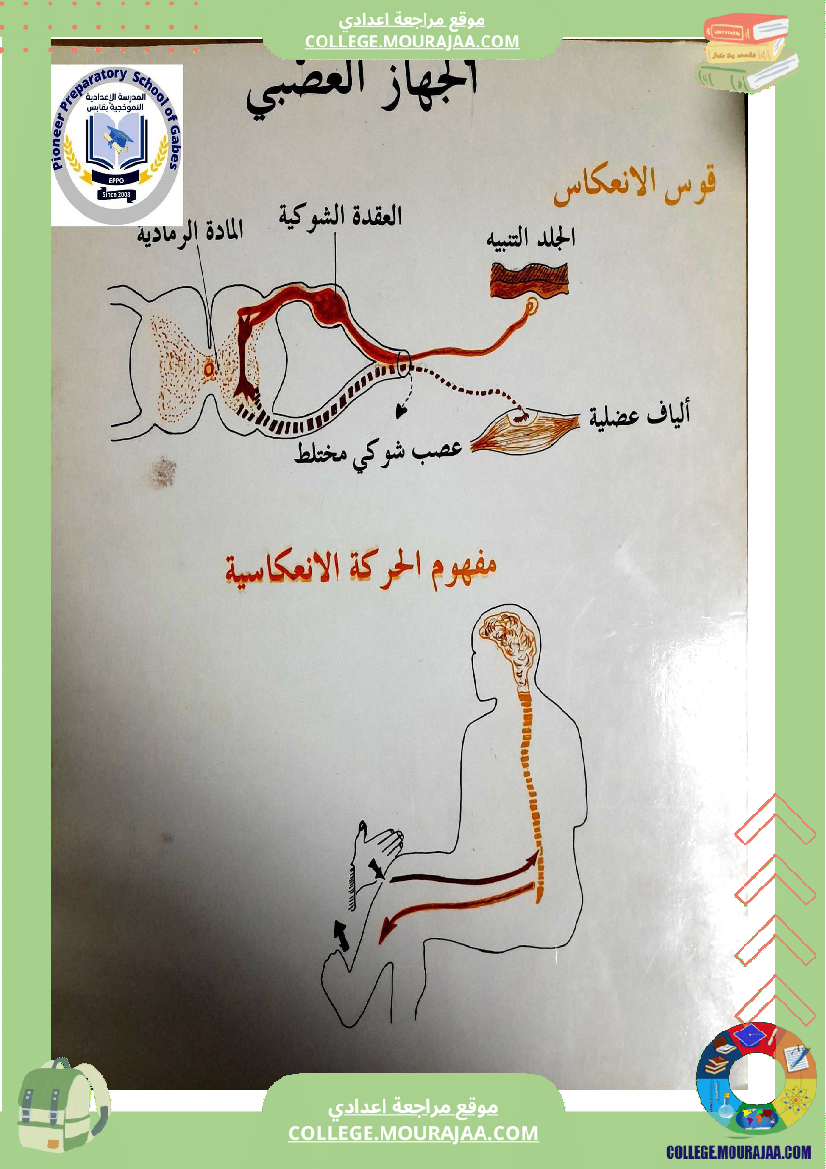 وثائق_علوم_الحياة_والأرض_للسنوات_التاسعة_أساسي_تتعلق_بالجهاز_العصبي