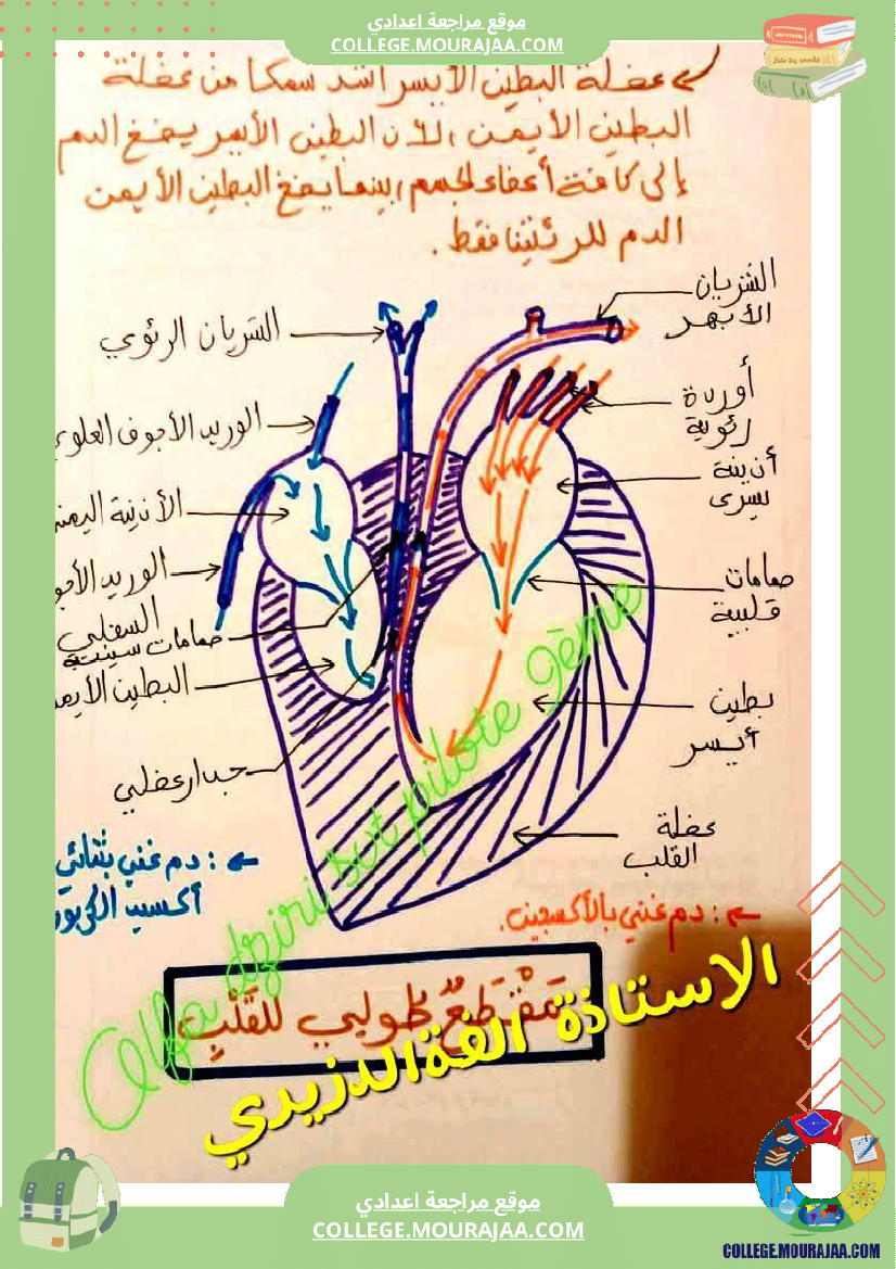 وثائق_في_مادة_علوم_الحياة_والأرض_للسنوات_التاسعة_نموذجي