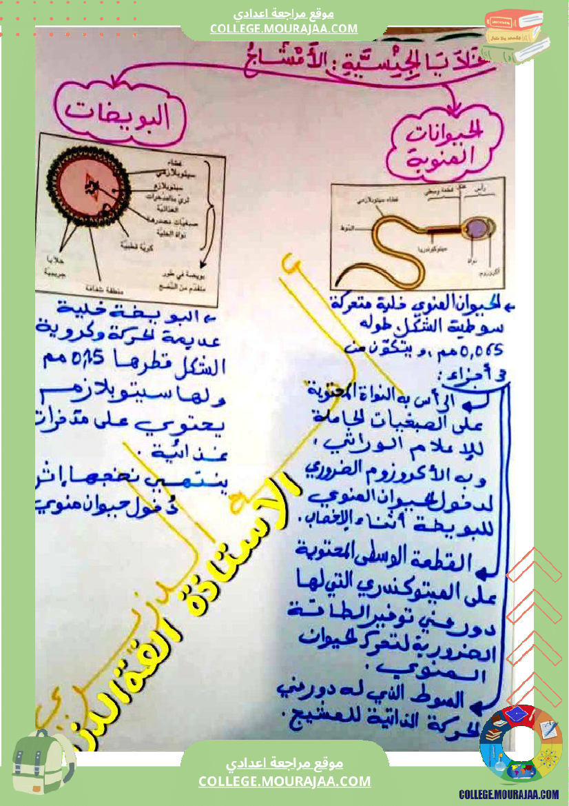وثائق_في_مادة_علوم_الحياة_والأرض_للسنوات_التاسعة_نموذجي